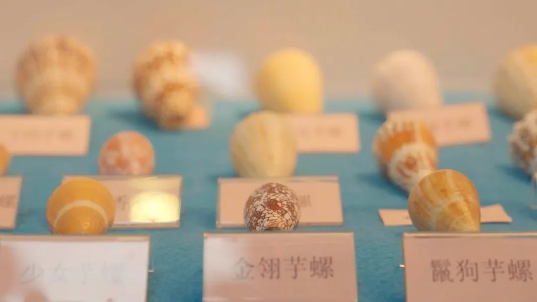 圖片 圖片