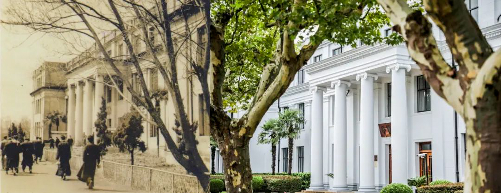 /images/article/202405/202405121622041518.jpg /images/article/202405/202405121622041518.jpg